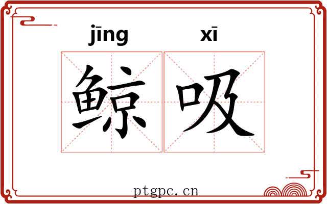 鲸吸