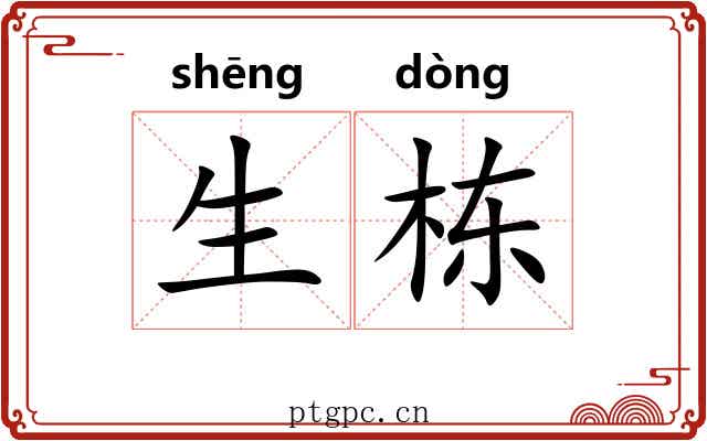 生栋 生栋