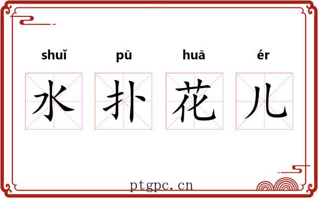 水扑花儿 水扑花儿