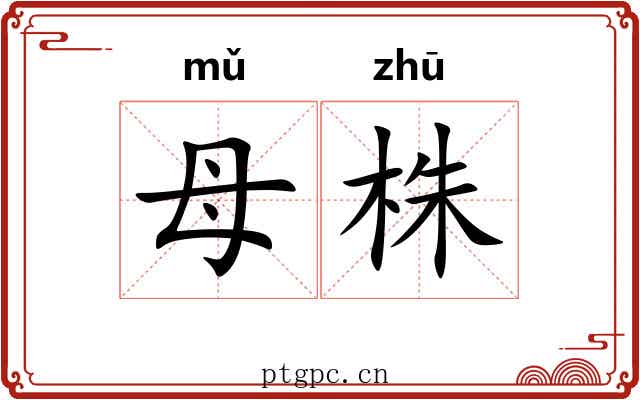 母株