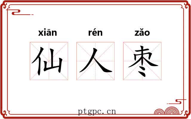 仙人枣 仙人枣