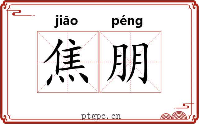 焦朋