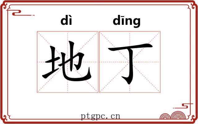 地丁 地丁