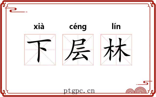 下层林 下层林