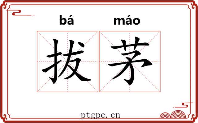 拔茅