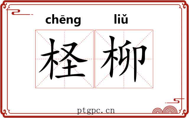 柽柳 柽柳