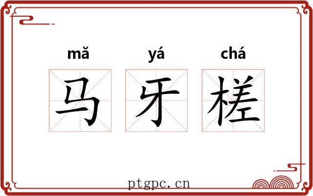 马牙槎