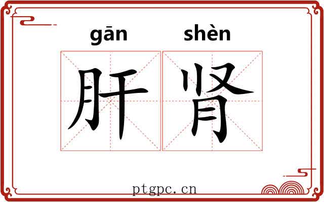 肝肾