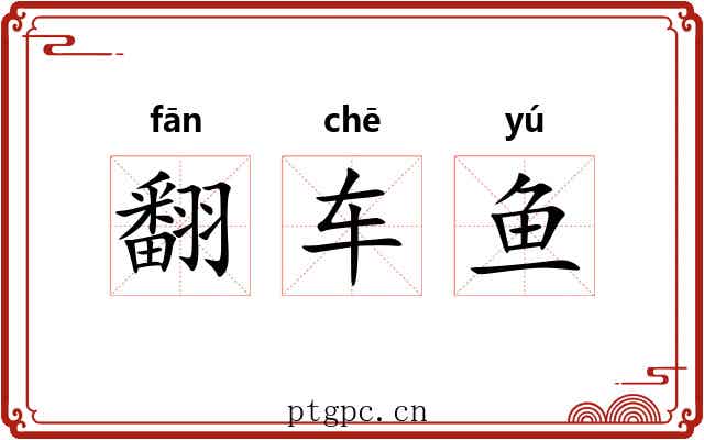 翻车鱼 翻车鱼