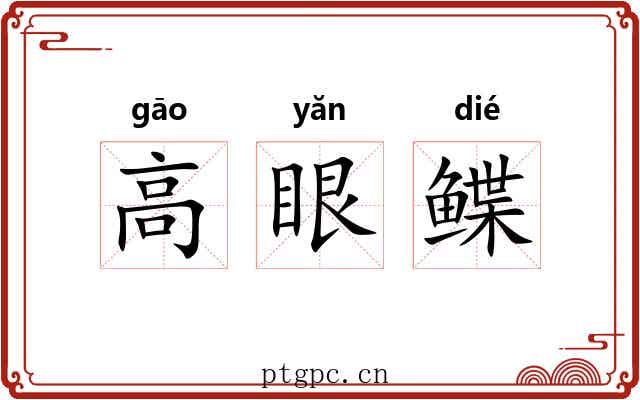 高眼鲽