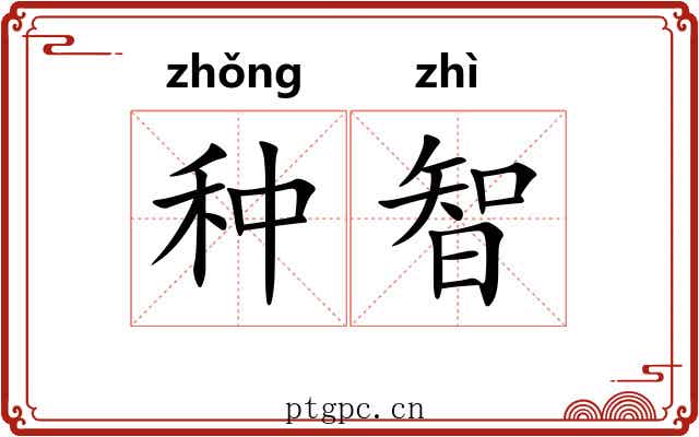 种智 种智