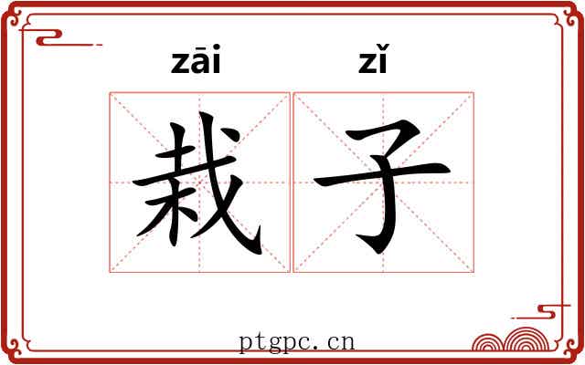栽子 栽子