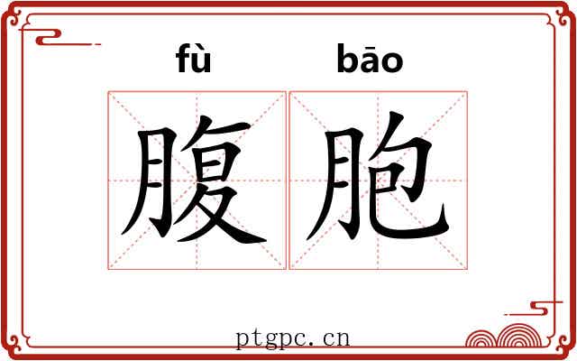 腹胞