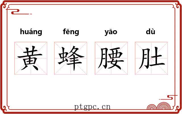 黄蜂腰肚 黄蜂腰肚