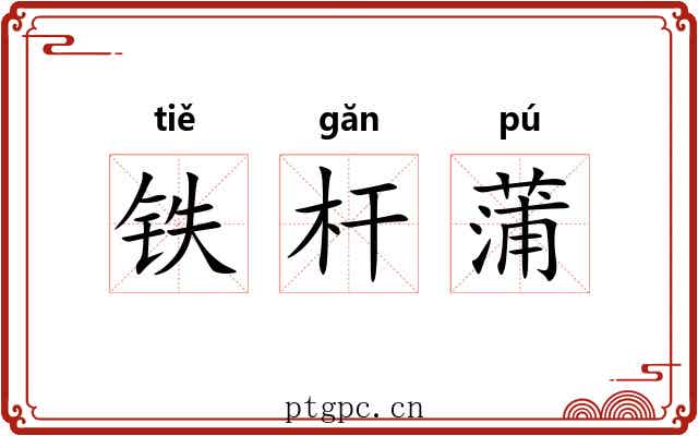 铁杆蒲 铁杆蒲