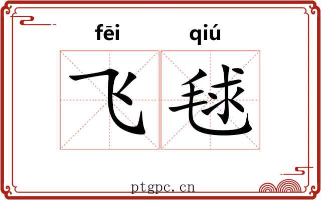 飞毬