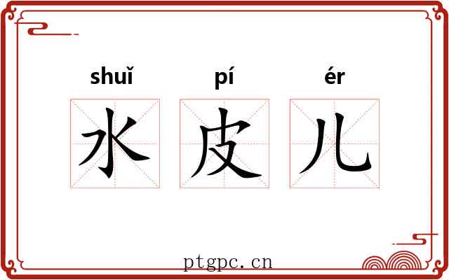 水皮儿
