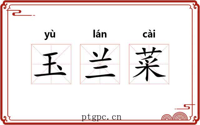 玉兰菜