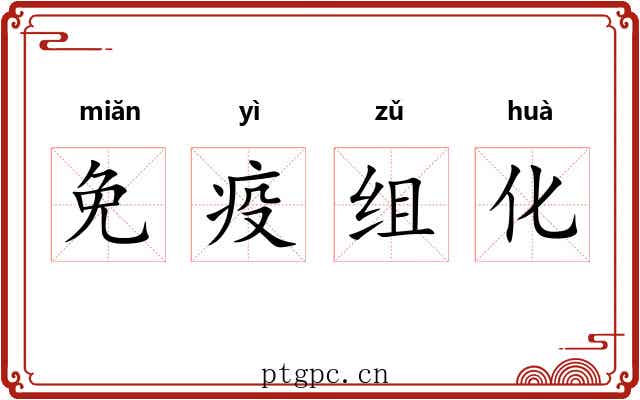 免疫组化 免疫组化