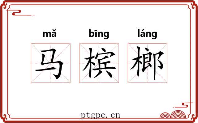 马槟榔 马槟榔
