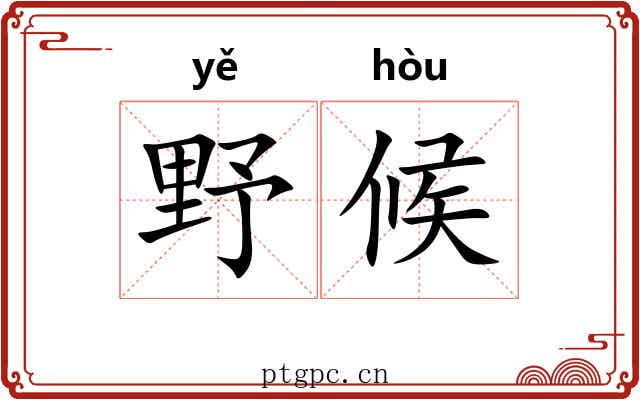 野候 野候