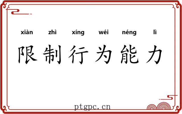 限制行为能力 限制行为能力