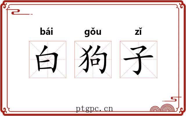 白狗子 白狗子