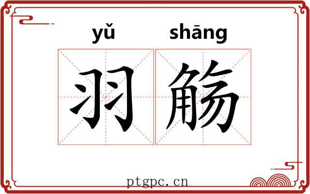 羽觞