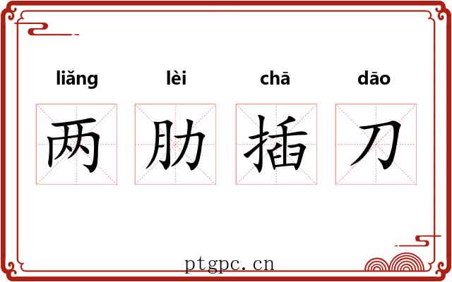 两肋插刀 两肋插刀