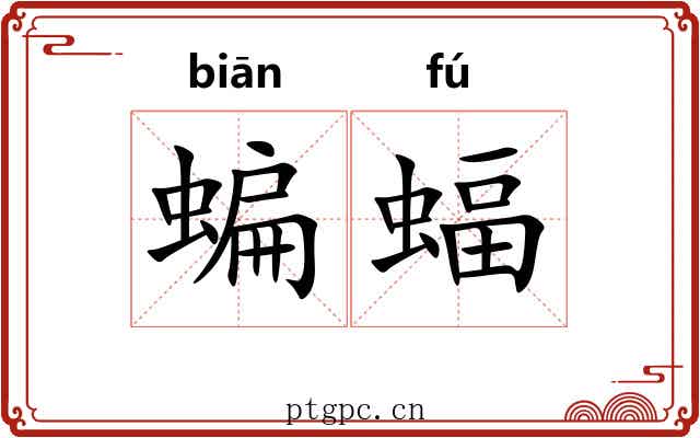 蝙蝠 蝙蝠