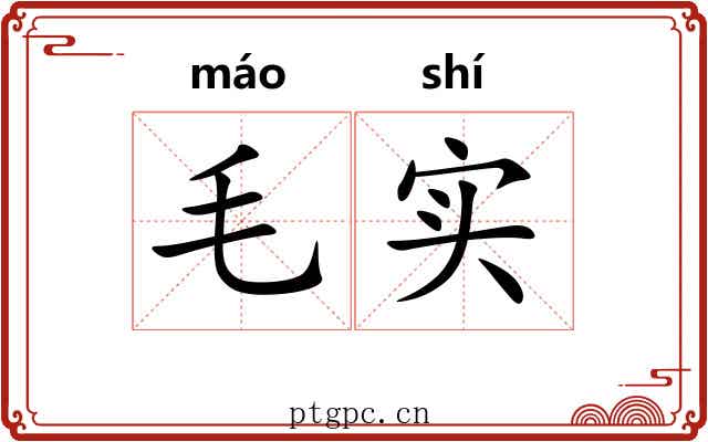 毛实 毛实
