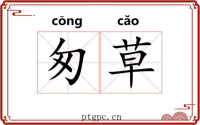 匆草 匆草