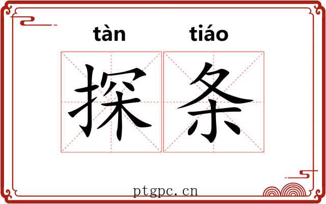 探条 探条