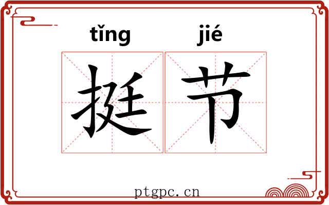 挺节 挺节