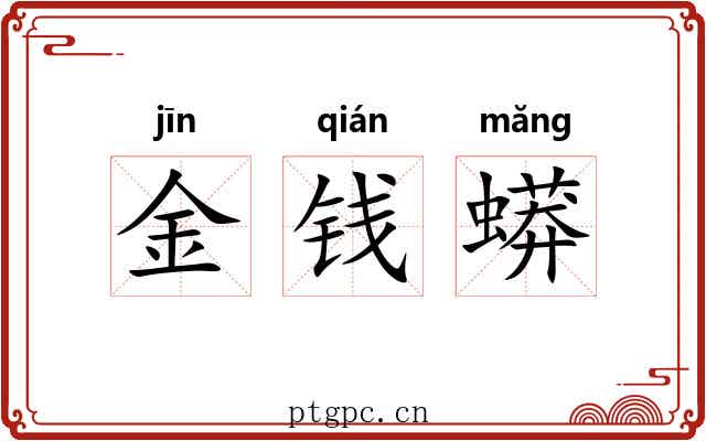金钱蟒