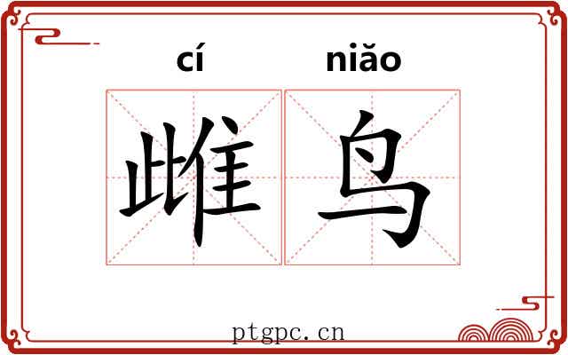 雌鸟