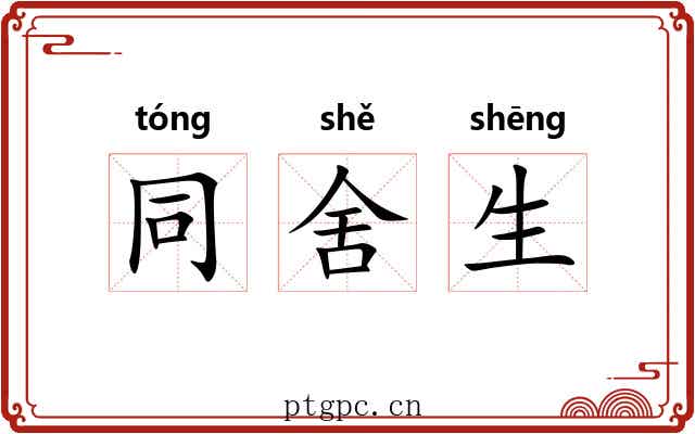 同舍生 同舍生