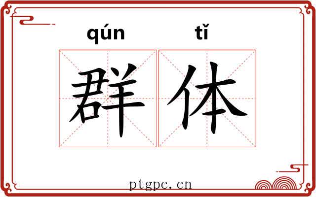 群体 群体