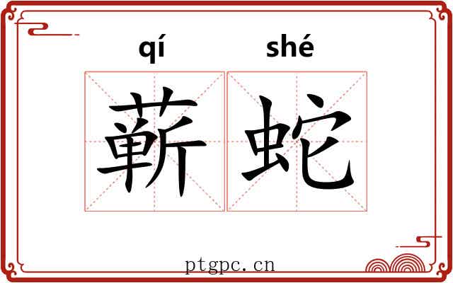 蕲蛇