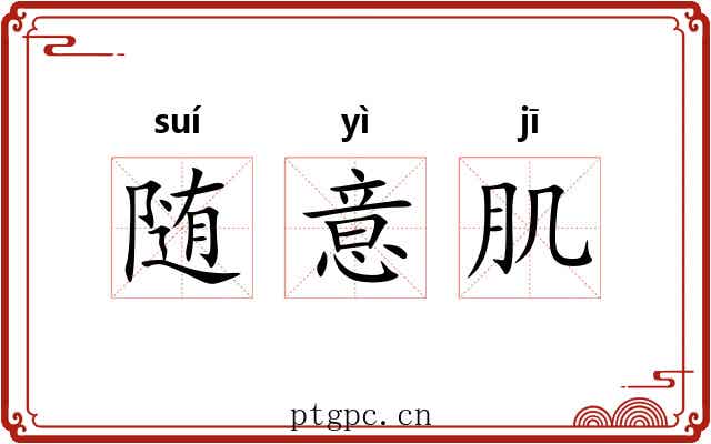 随意肌 随意肌
