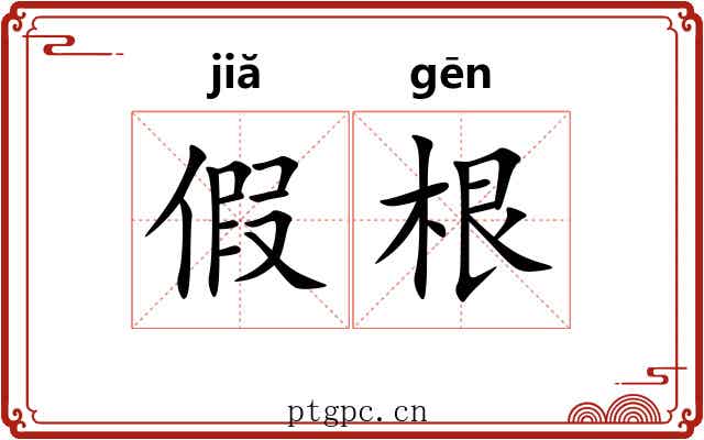 假根 假根