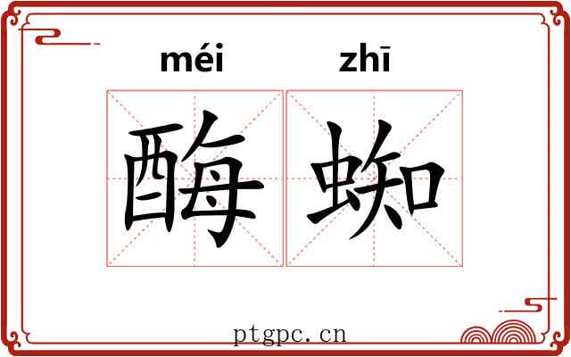 酶蜘