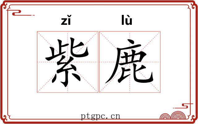 紫鹿 紫鹿