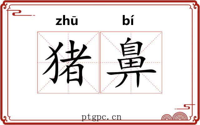猪鼻