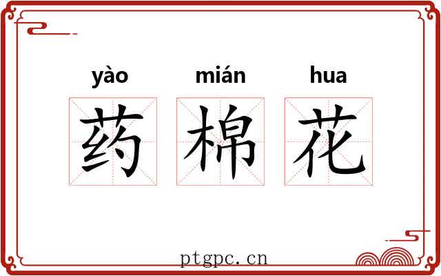 药棉花 药棉花