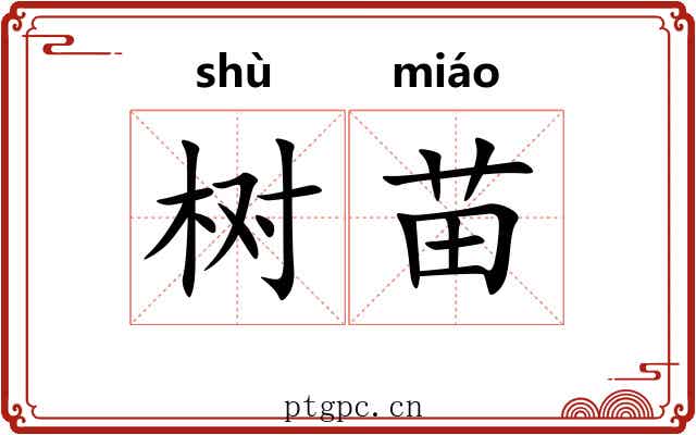 树苗 树苗