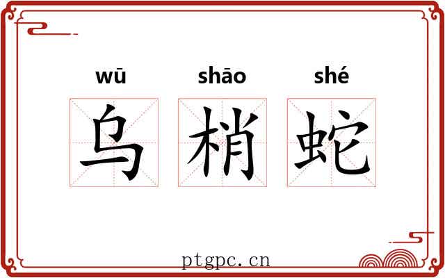 乌梢蛇 乌梢蛇