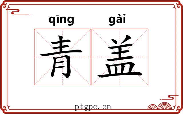 青盖