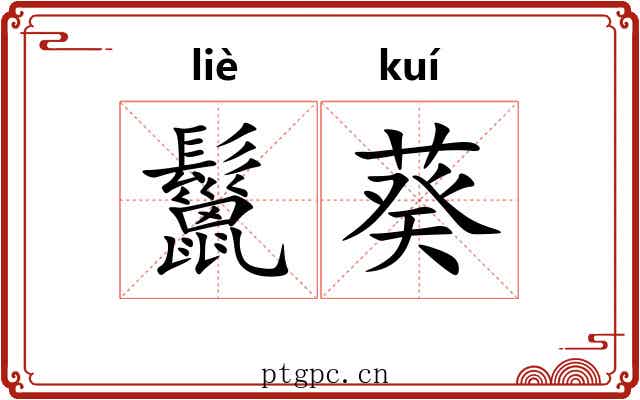 鬣葵 鬣葵