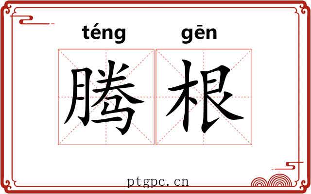腾根 腾根